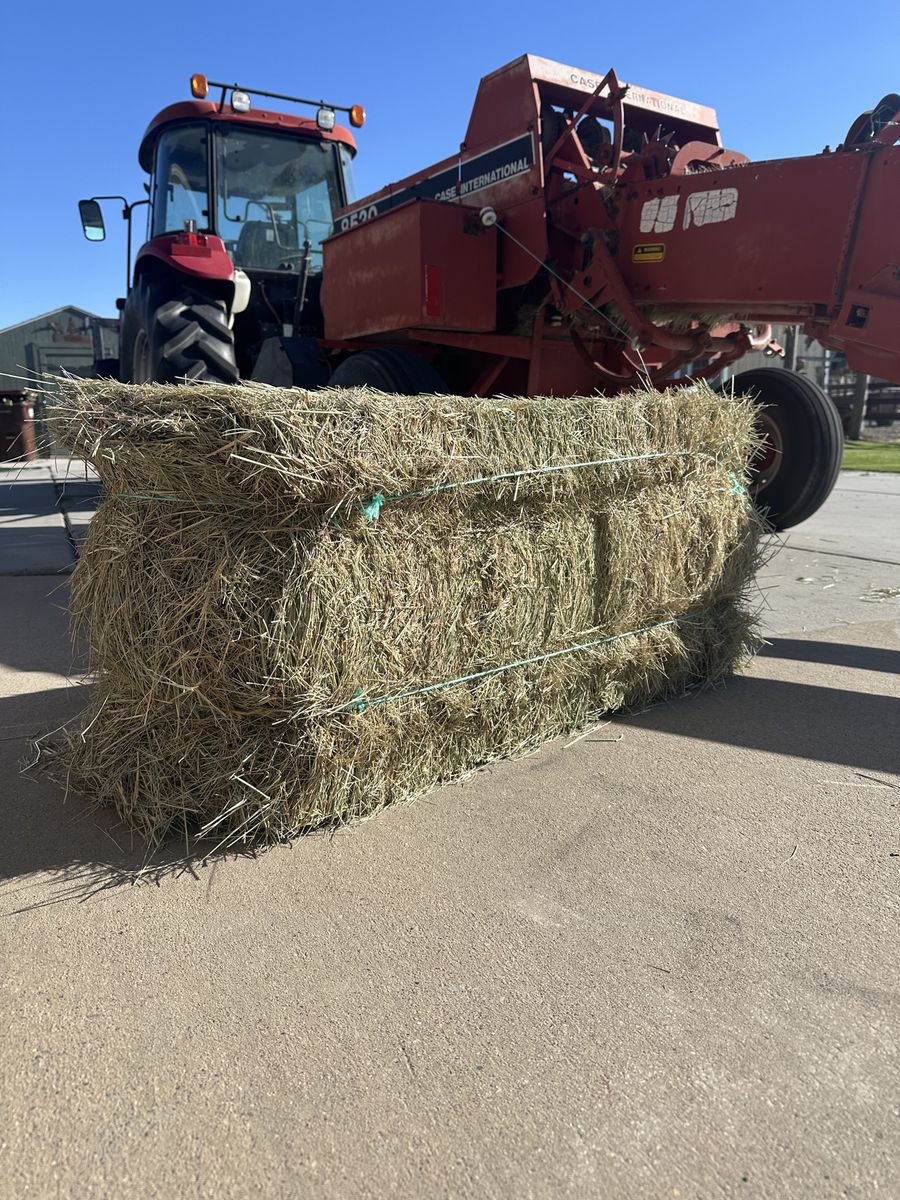 Grass Bales for sale (in the field)