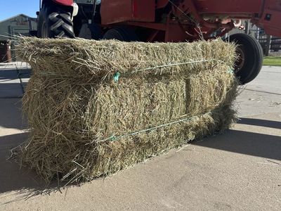 Grass Bales for sale (in the field)