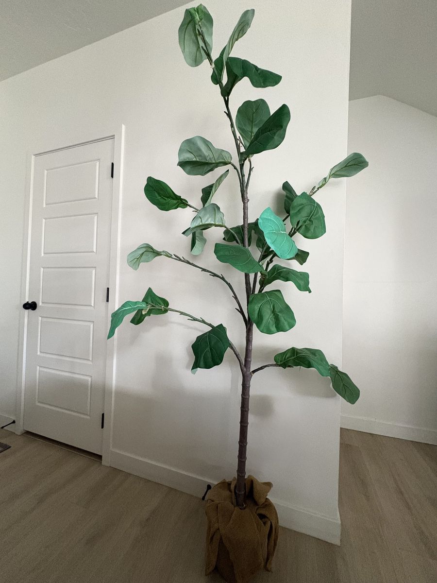 Faux Fig Tree