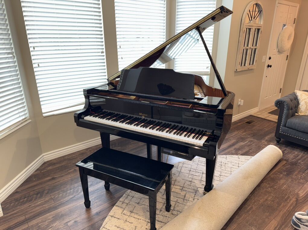 Weber By Young Chang