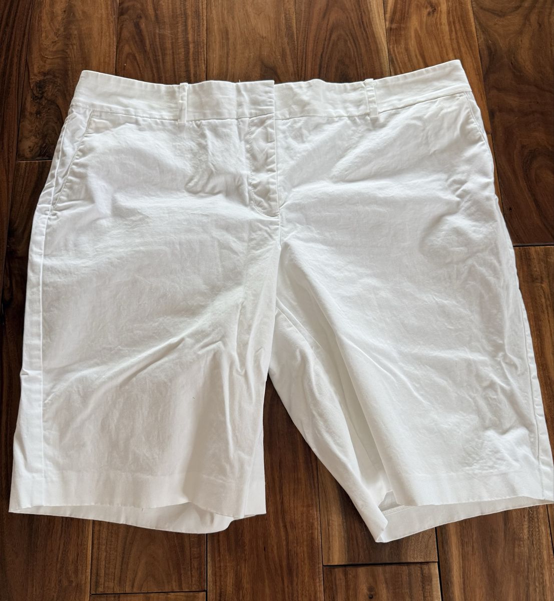 New Ann Taylor Women Size 16 Shorts