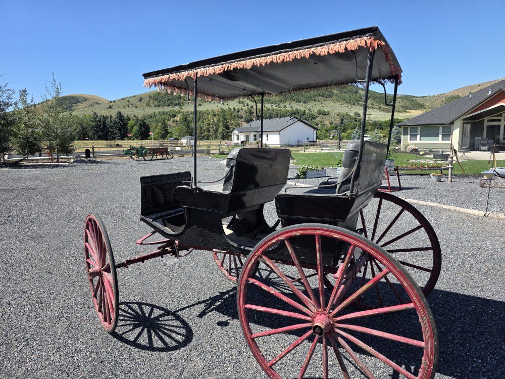 Surrey/Buggy