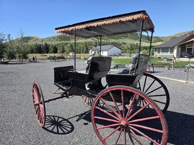 Surrey/Buggy