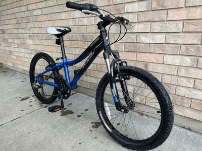 Great 16 inch Kids Specialized Mountain Bike