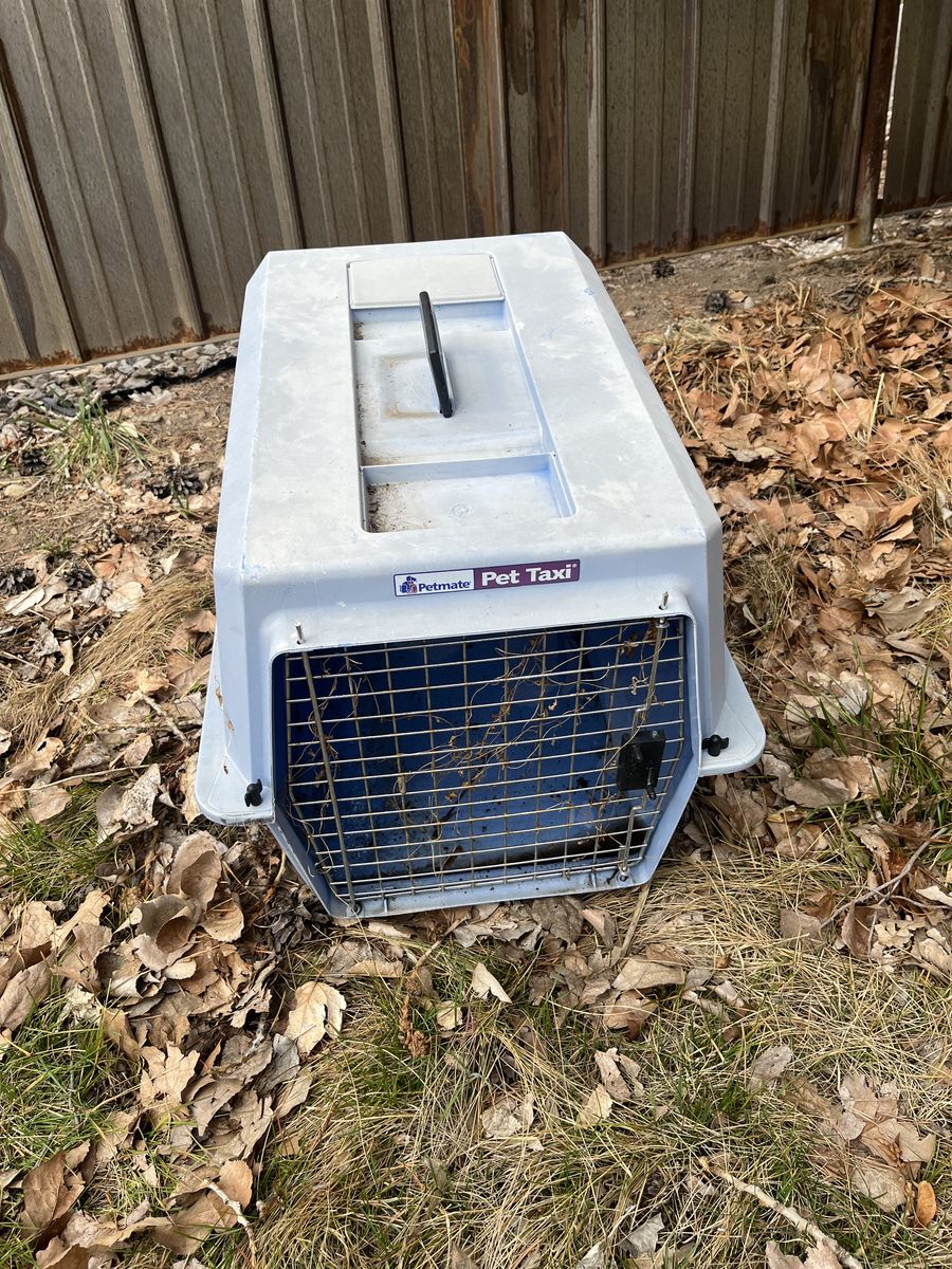 Pet Carrier Medium Sized