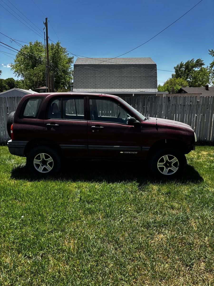 Main image 6