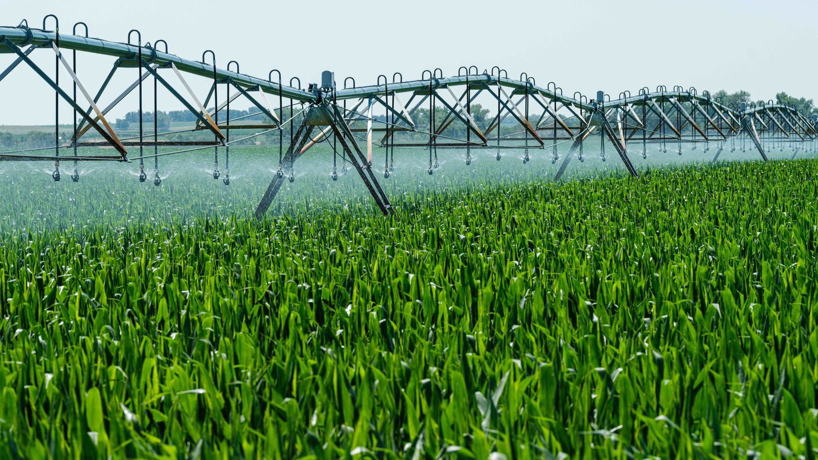 South Kamas Water For Sale