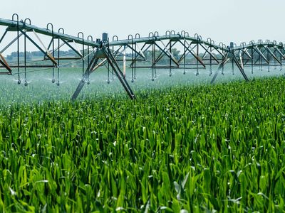 South Kamas Water For Sale