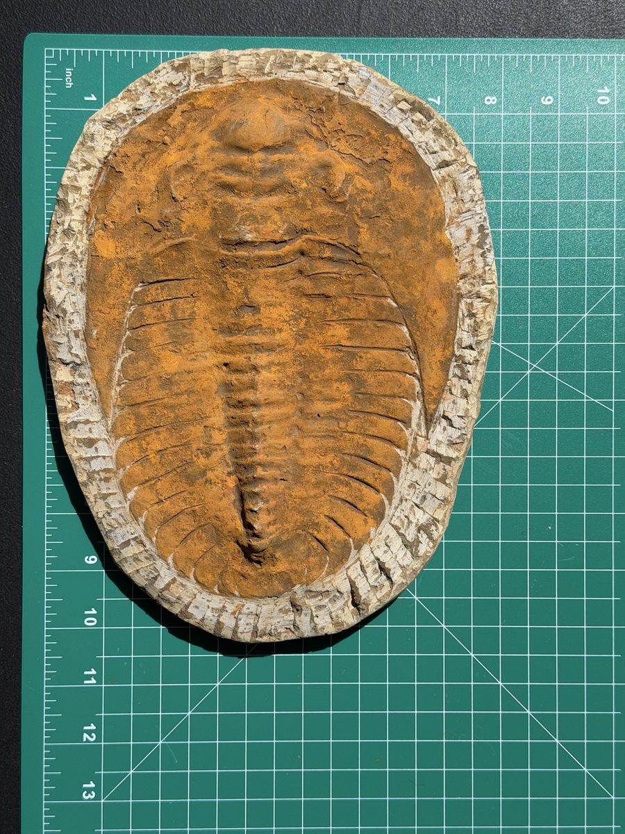 Main image 2