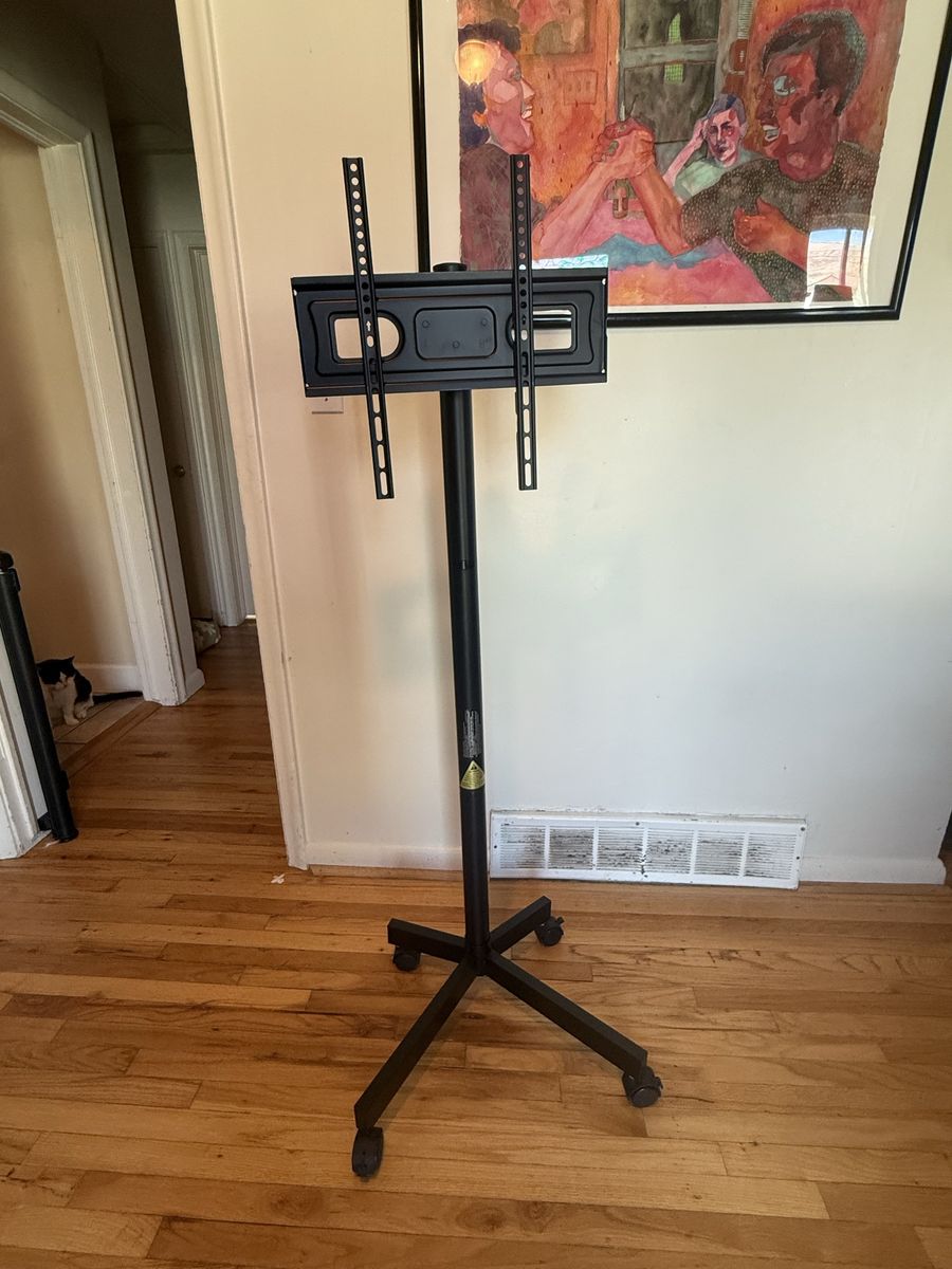 Rolling/Mobile TV Stand