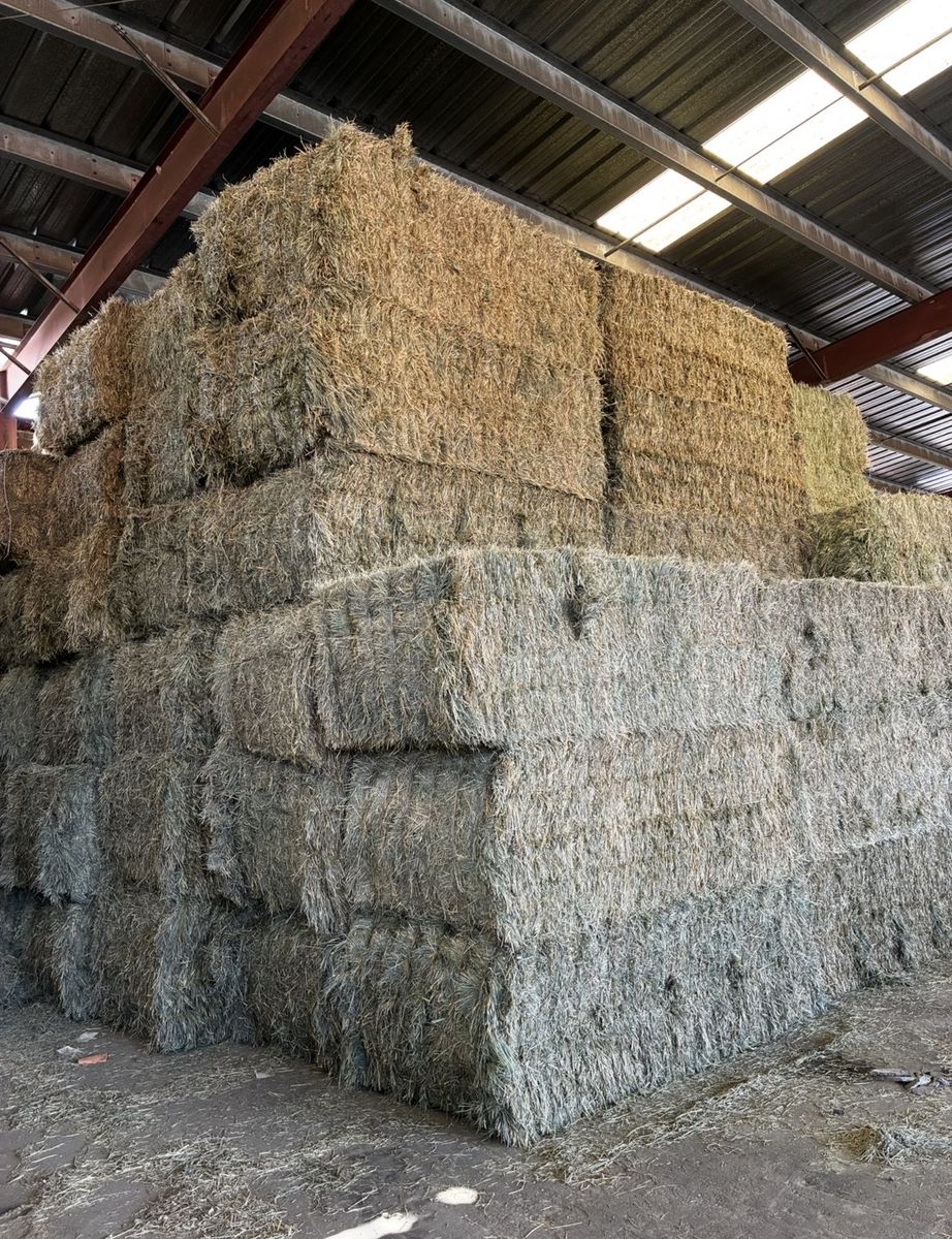 3x4 premium orchard grass hay