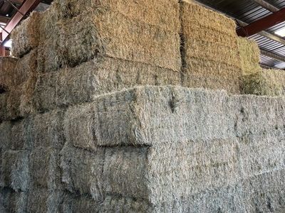 3x4 premium orchard grass hay