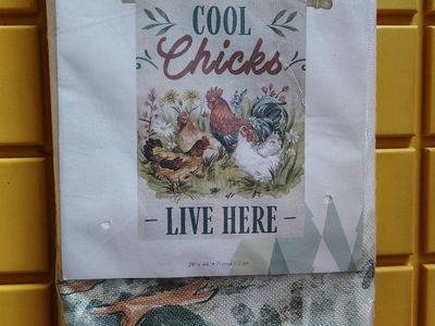 Evergreen, 28"x44", Decorative House Flag Cool Chicks Live Here NEW
