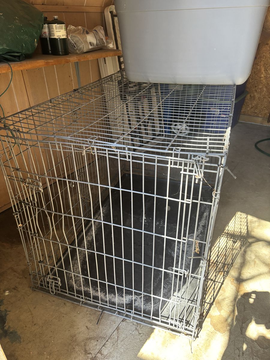 Dog Kennel