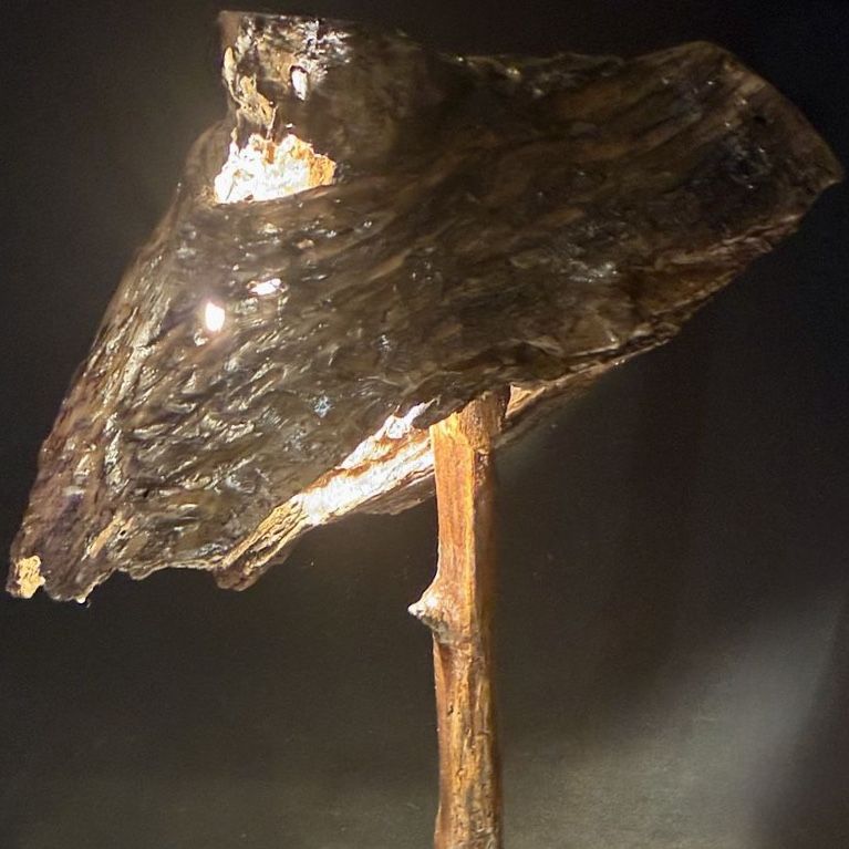 Main image 2
