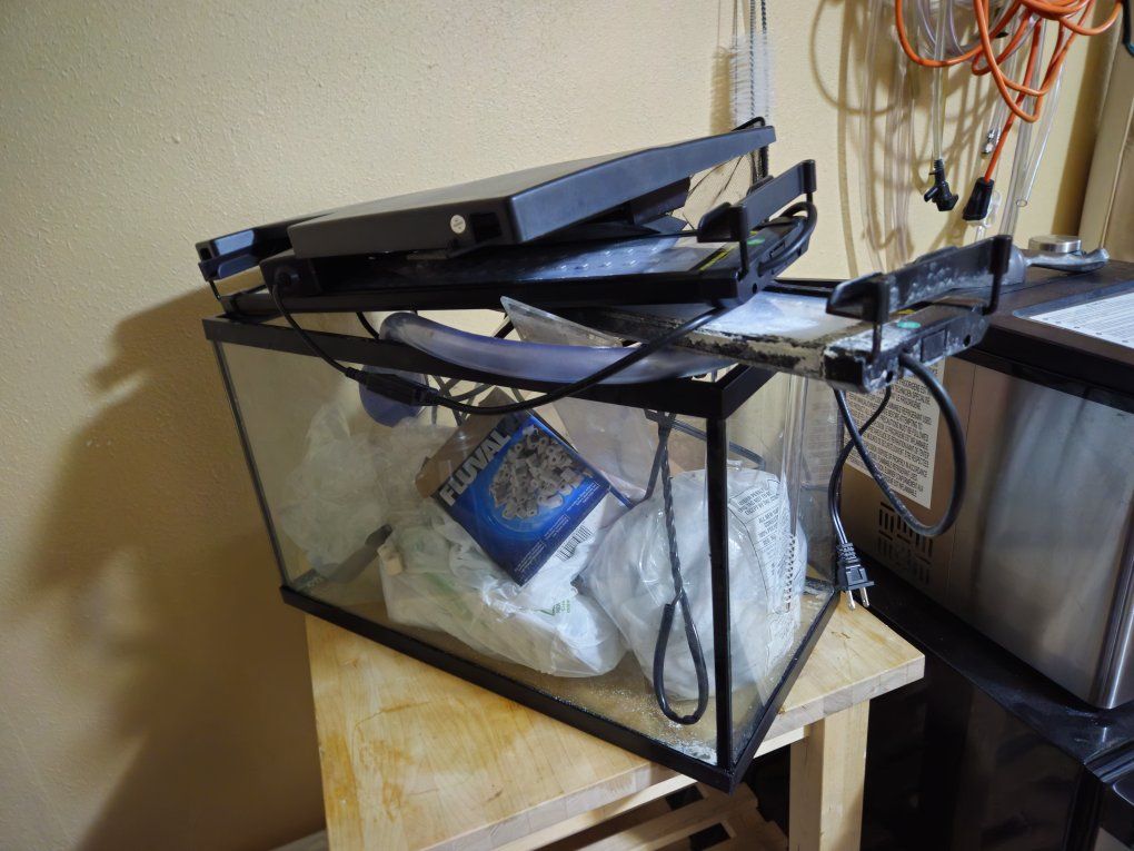20 Gallon Aquarium and light