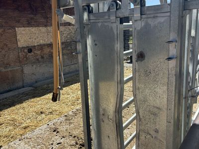 Brazzen cattle chute