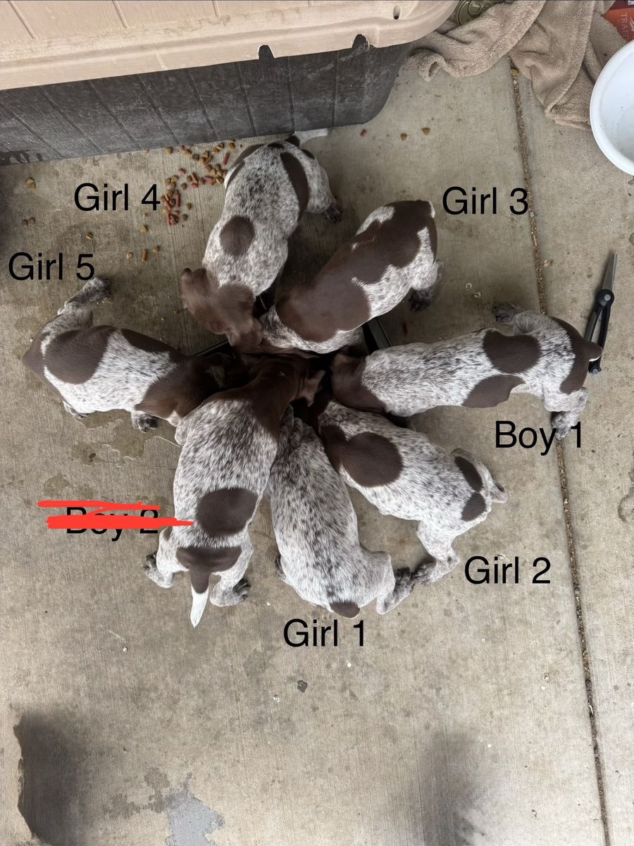 Main image 8