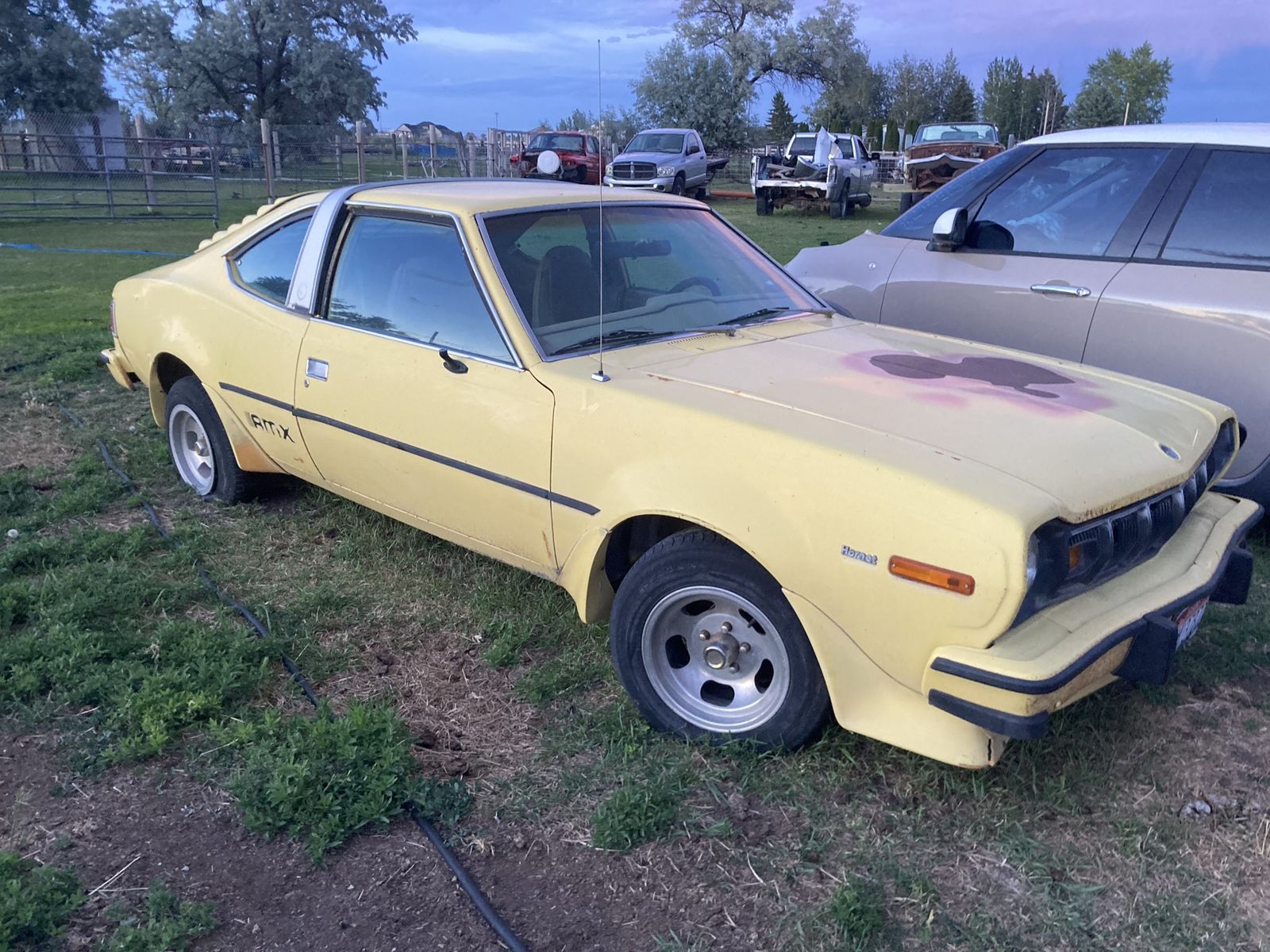 1977 amc amx
