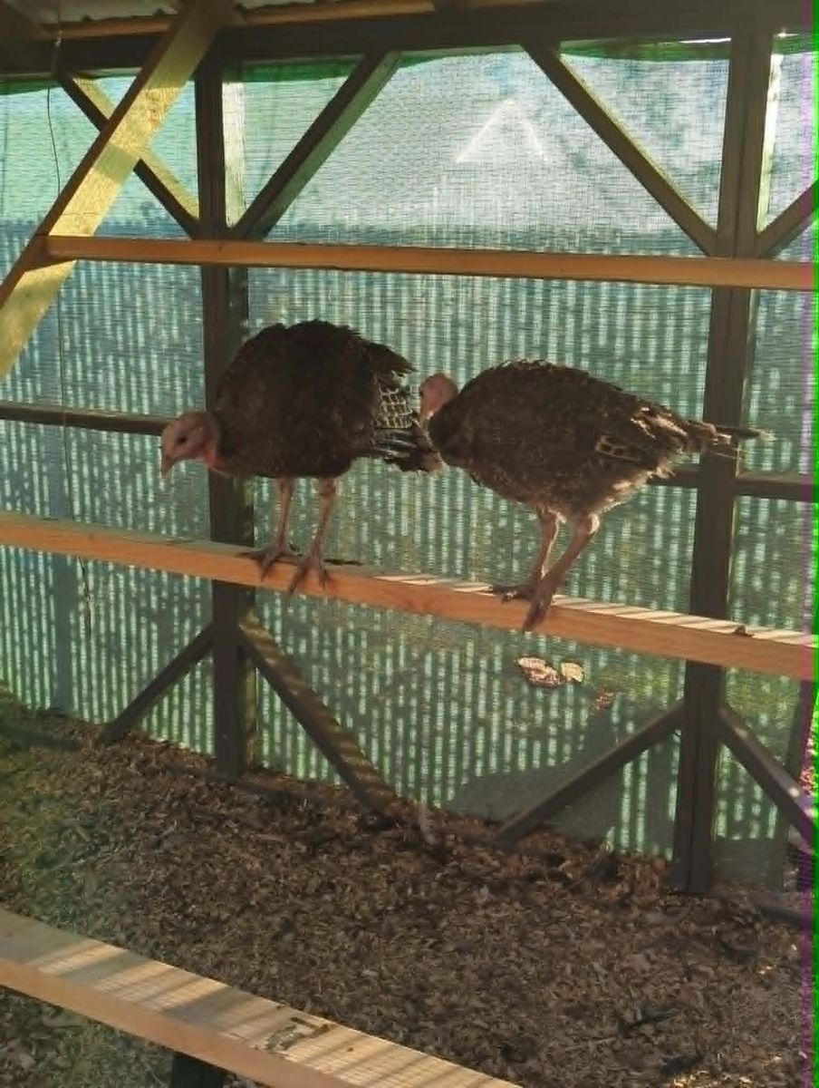 Main image 3