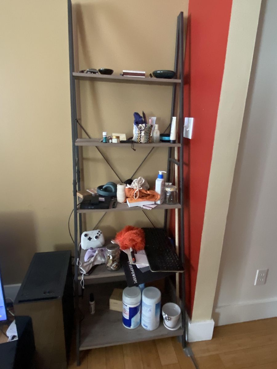 Ladder bookshelf