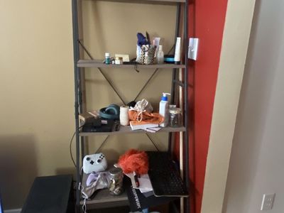 Ladder bookshelf