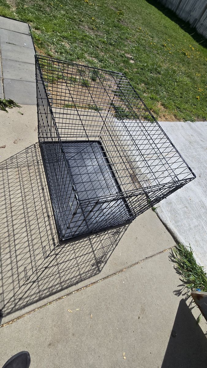Dog Crate for a Large dog