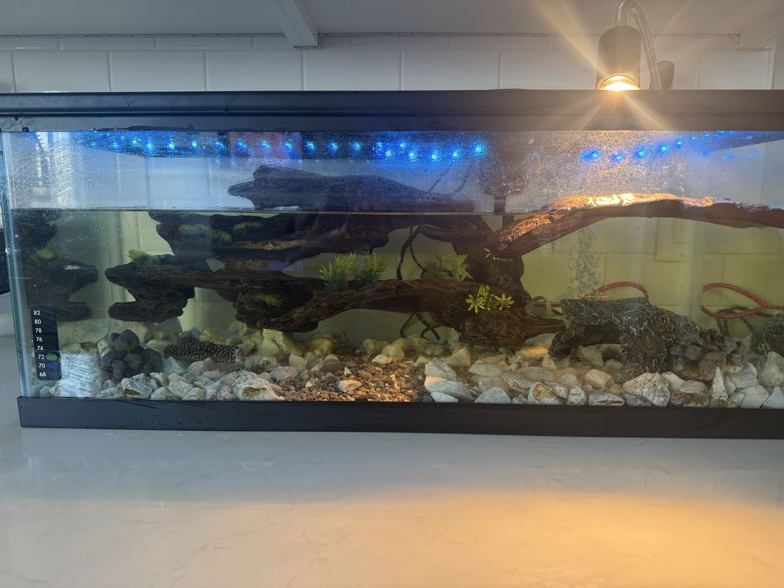 Glass Aquarium Terrarium Setup with Basking Light, Filter, and Decor