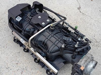 "TBSS" LS Intake manifold assembly for cathedral port heads