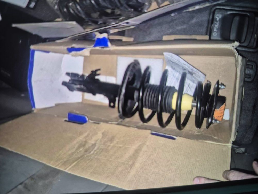 vehicle struts