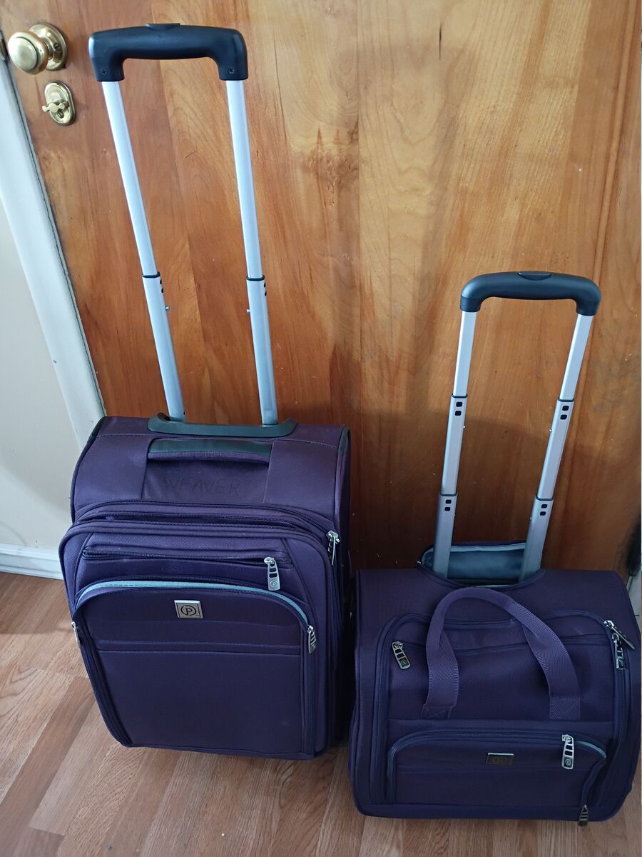 Protege 20-inch Arendale Rolling Spinner Two Suitcase Upright Luggage Purple