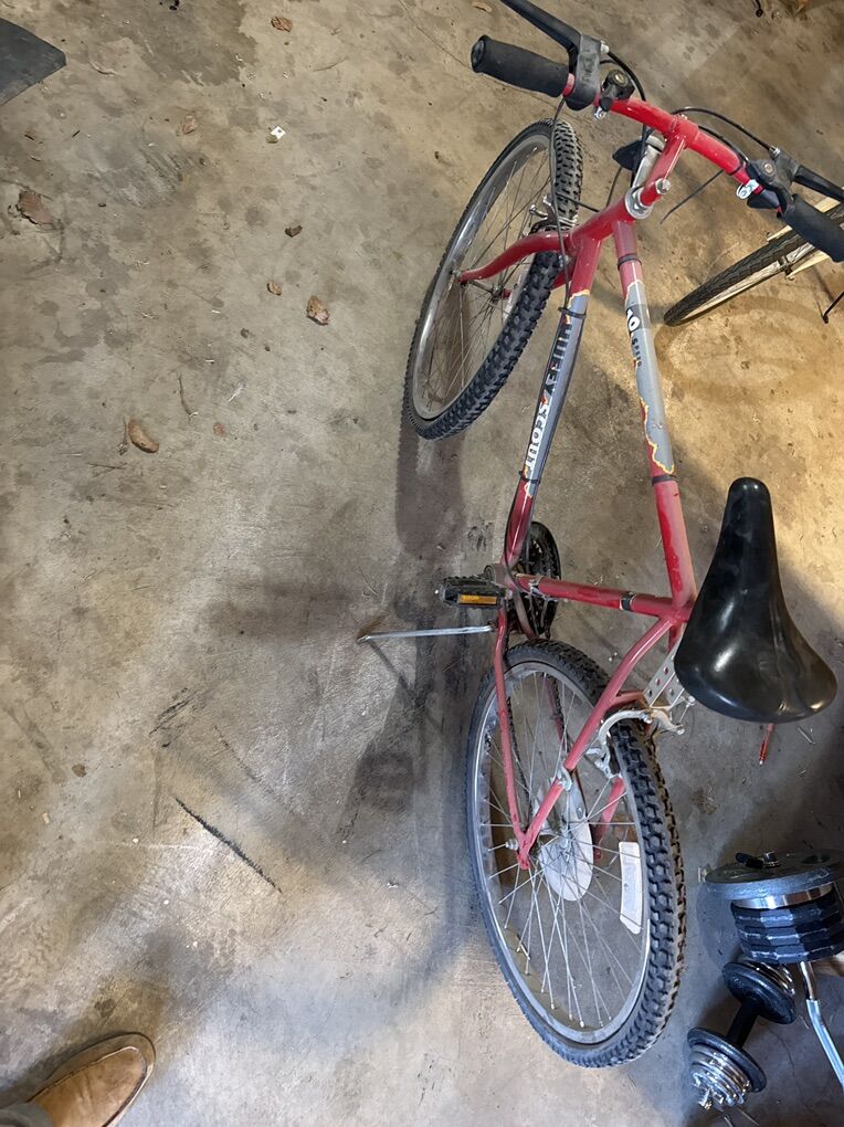 10 Speed Old School Bike