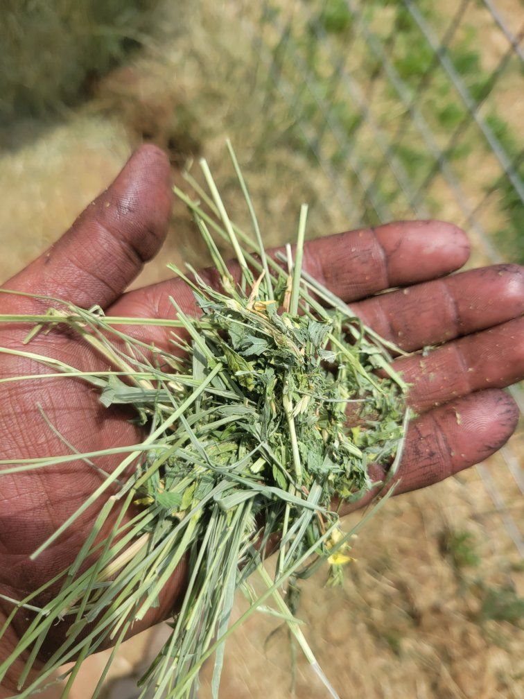 Quality 1st crop hay 3 varieties