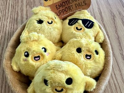 Emotional Support Chickies