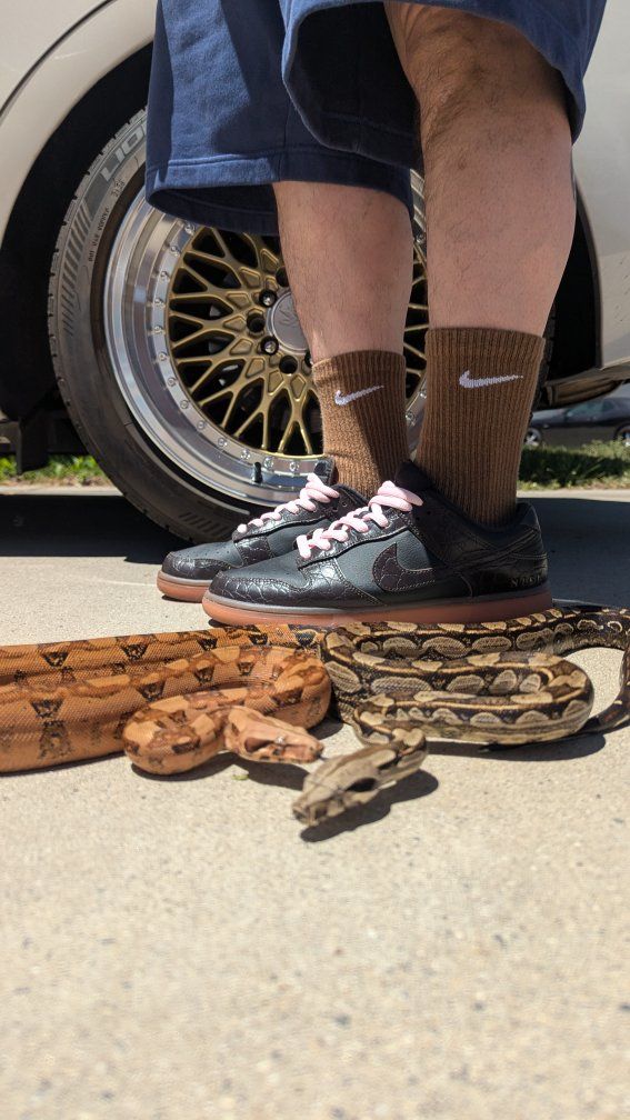 I got drip for sell! Boa morphs