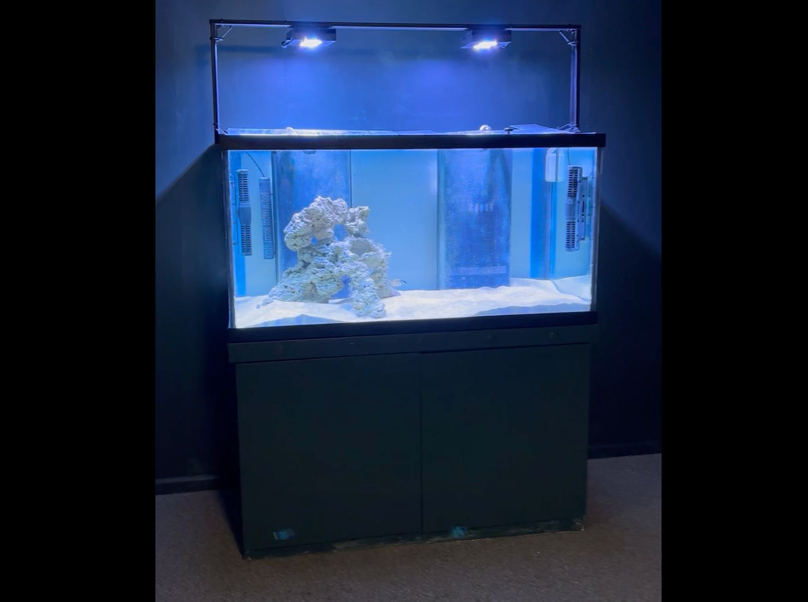 125 Gallon Saltwater Reef Aquarium – Complete Setup w/ Sump, Lights, ReefMat