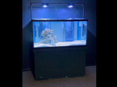 125 Gallon Saltwater Reef Aquarium – Complete Setup w/ Sump, Lights, ReefMat