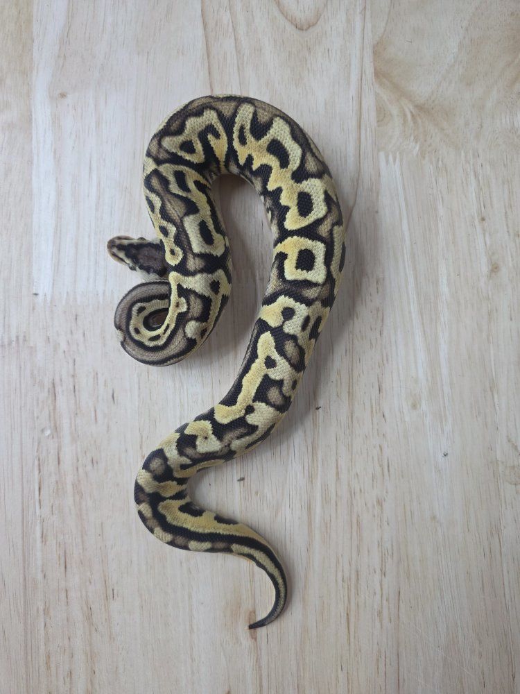 Main image 3