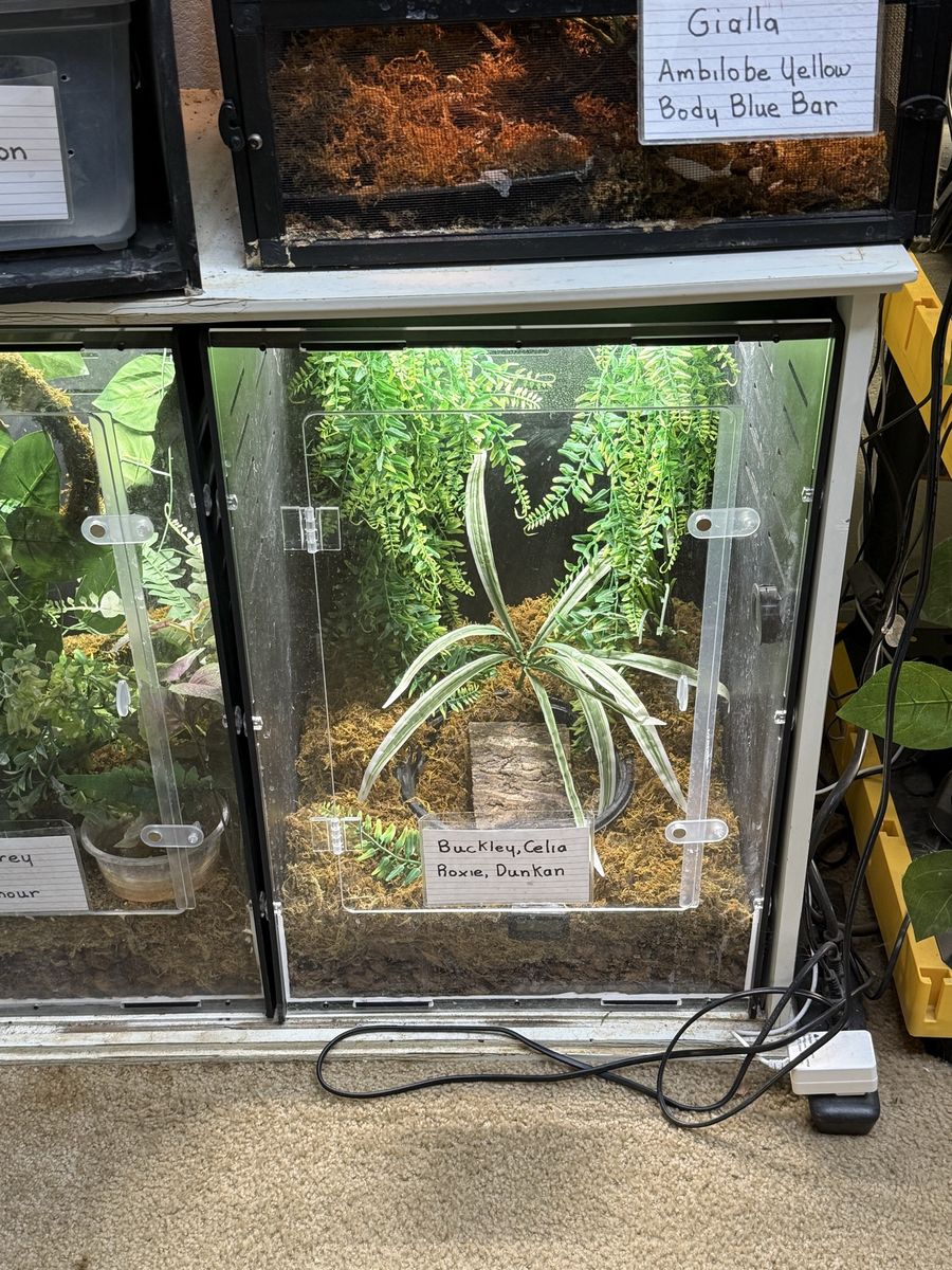Reptile Terrarium Enclosure with Acrylic Front Door 16” W x 24” H