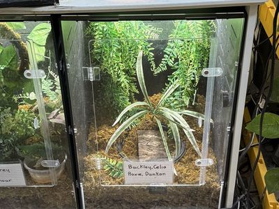 Reptile Terrarium Enclosure with Acrylic Front Door 16” W x 24” H