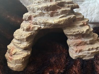 Thrive reptile Corner Hide