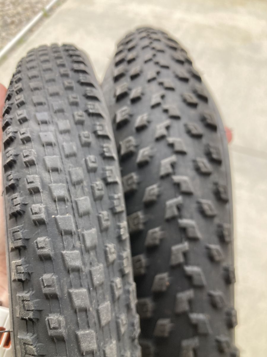 Specialized Renegade + Fast Trak 29 Inch Mtb tires