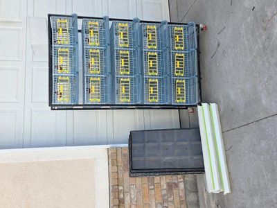 5 level quail laying battery bobwhite coturnix