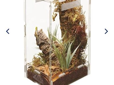 Acrylic Cages