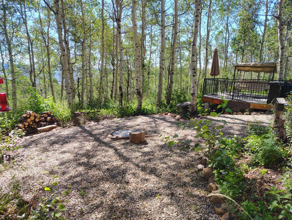 Main image 6