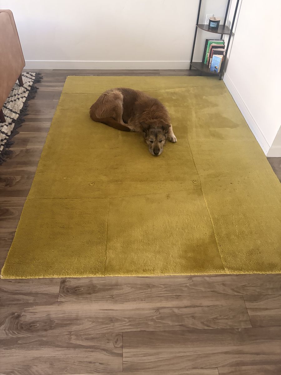 Light green area rug