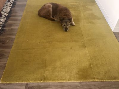 Light green area rug