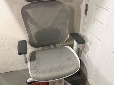 Ergonomic Office Chair with Mesh Back and Adjustable Headrest - Gray & White