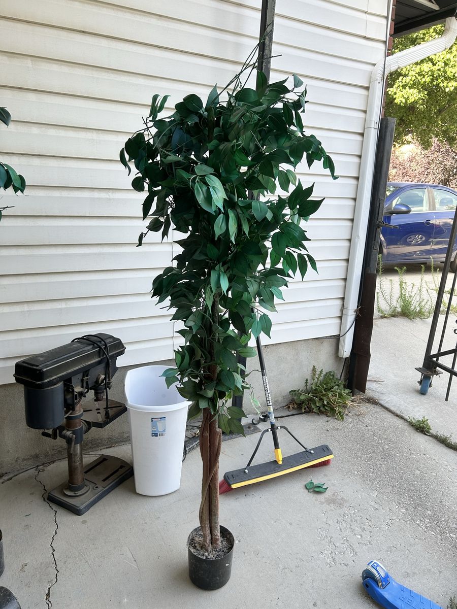 Artificial Ficus Tree - Realistic Faux Plant Decor