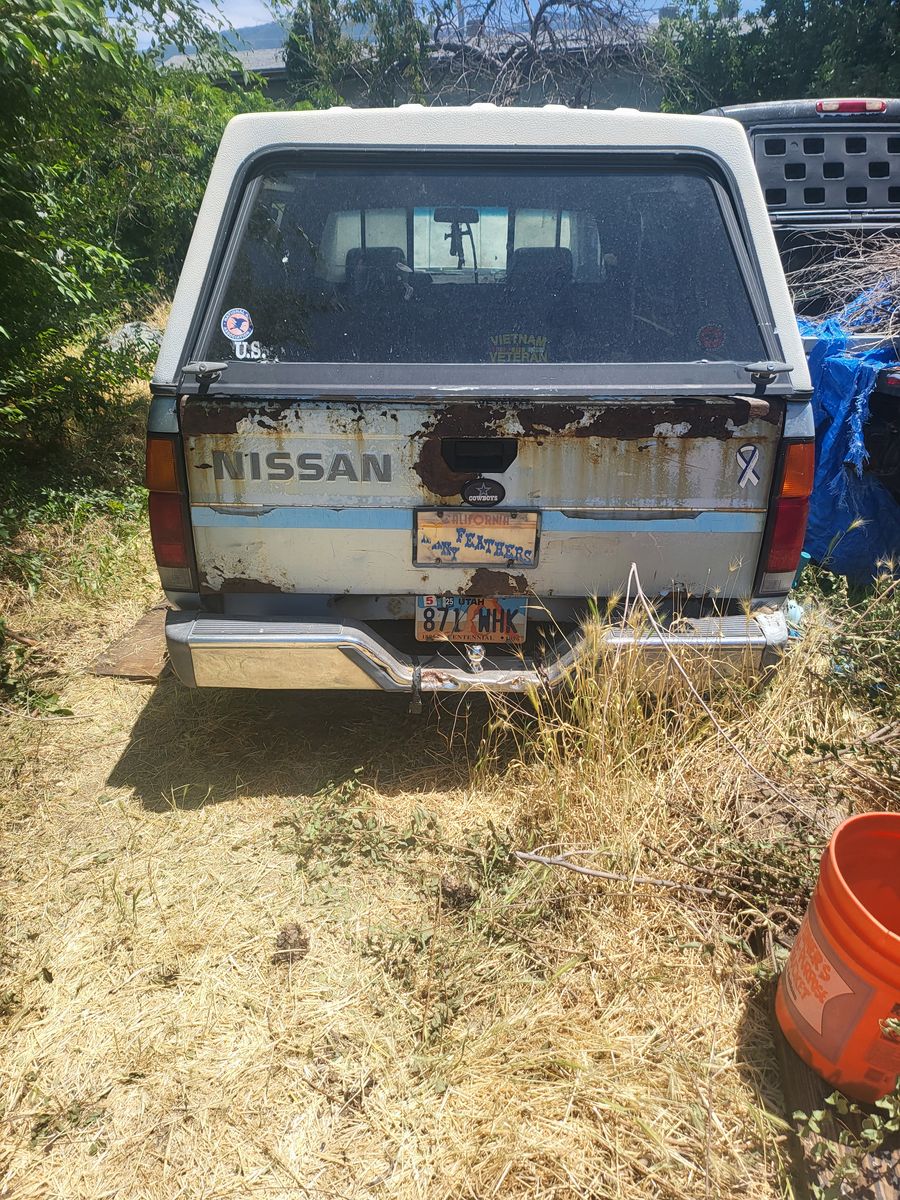 Main image 5